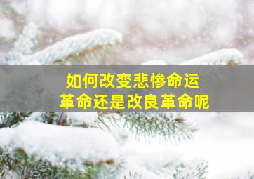 如何改变悲惨命运 革命还是改良革命呢